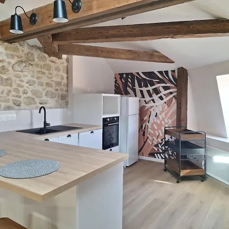 Appartement De Standing Rustique En Centre Bourg *